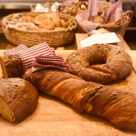 Hotel-restaurant Schwanen Hotel Metzingen (Tubingen)