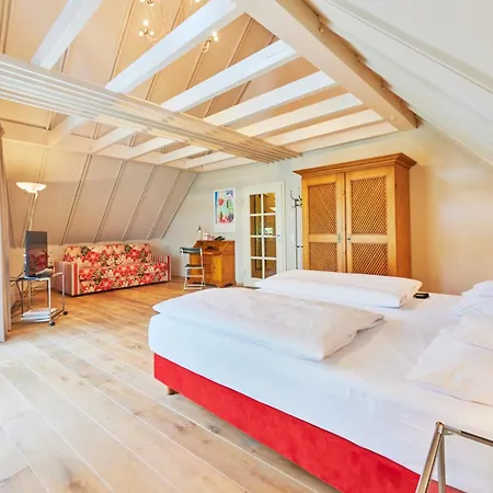 Hotel-restaurant Schwanen Hotel Metzingen (Tubingen)