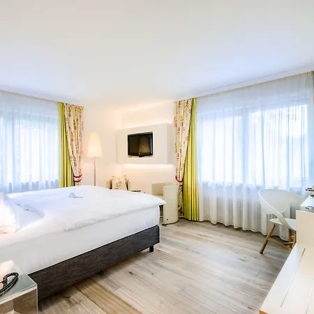 Hotel Hotel-restaurant Schwanen