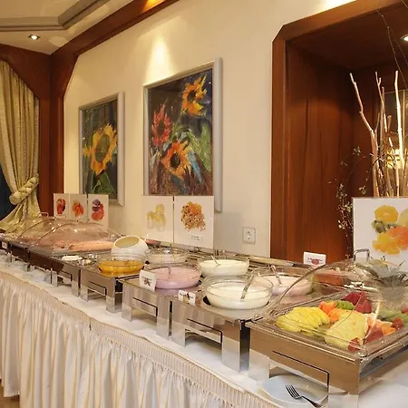 Hotel-restaurant Schwanen Hotel