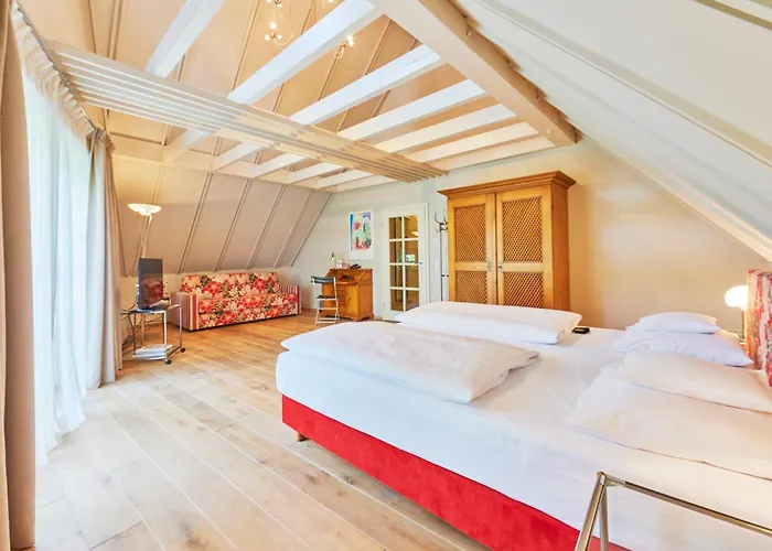 Hotel-restaurant Schwanen Hotel Metzingen (Tubingen)