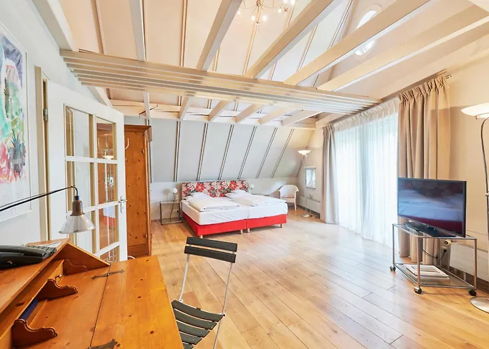 Hotel-restaurant Schwanen Hotel Metzingen (Tubingen)