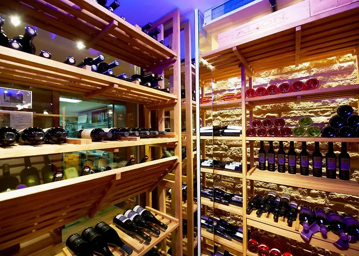 Hotel-restaurant Schwanen 4* Metzingen (Tubingen)