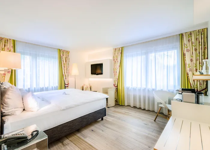 Hotel Hotel-restaurant Schwanen